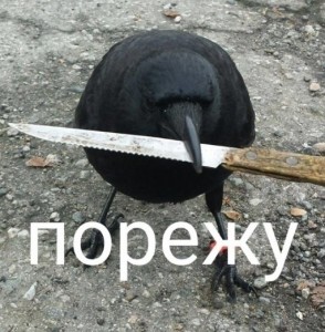 Create meme: demotivator crow, funny pictures with ravens, crow with knife