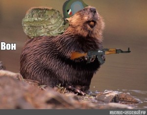 Create meme: beaver, beaver