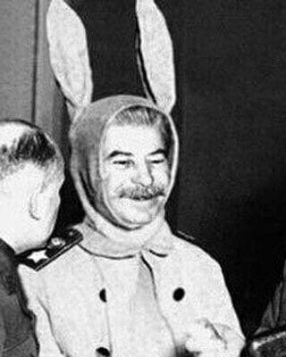 Create meme: Stalin Bunny, Stalin in a rabbit costume, Stalin Bunny