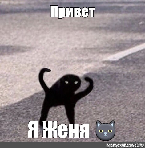 Бывшей жене привет. Черный кот Мем. Мем с котом ЪУЪ. ЪУЪ Мем оригинал.