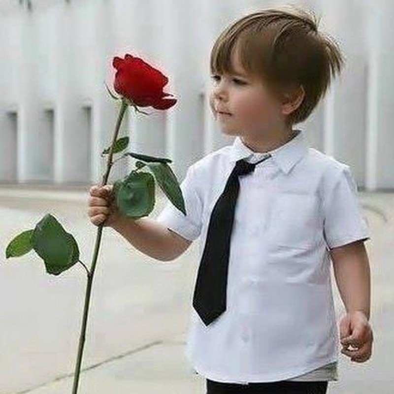 Create meme: boy with a rose, boy , kids 