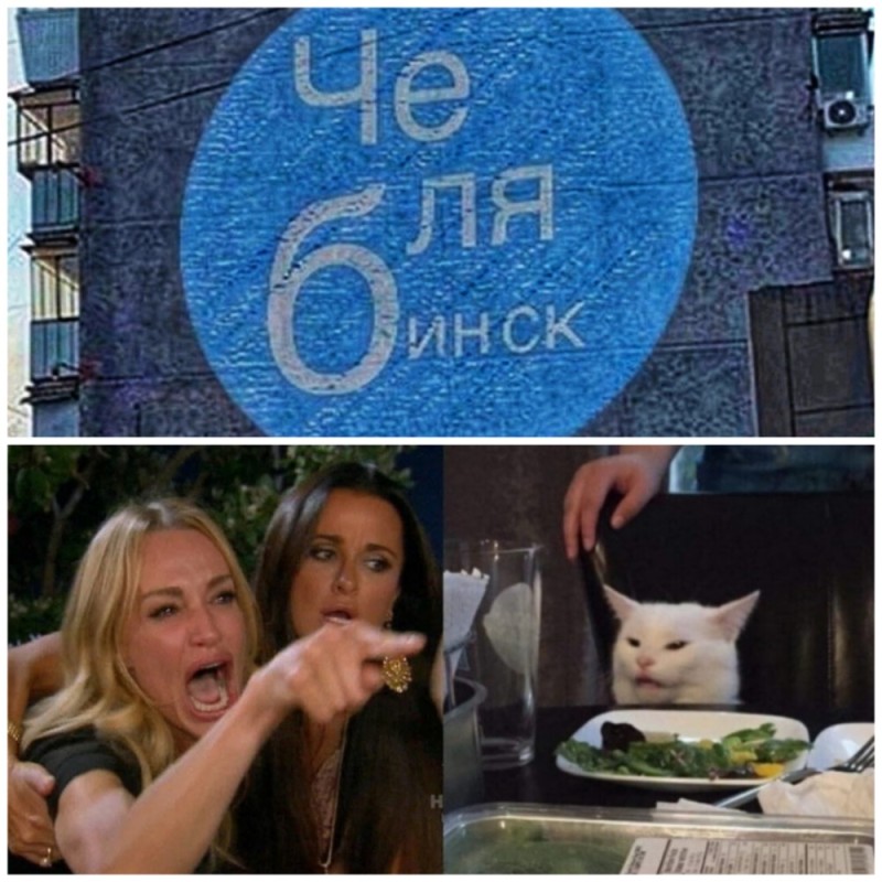 Создать мем: бабы и кот мем, мем кошка, мем женщина и кот