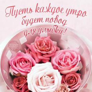 Create meme: pink flowers, beautiful flowers, roses
