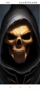 Create meme: the skull in the hood, skull