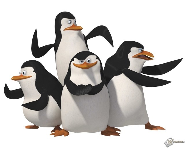Create meme: the penguins of Madagascar , the penguins of Madagascar , Rico the penguins of Madagascar