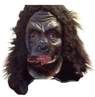 Create meme: Pasha tech , Pasha is a technician in a gorilla mask, Pasha technician in the mask