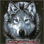Create meme: wolf black and white alpha, wolf's muzzle front, wolf