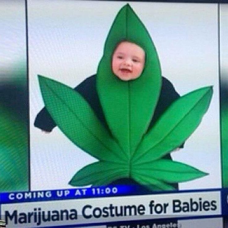 Создать мем: смешные костюмы для детей, marijuana leaf, лист марихуаны