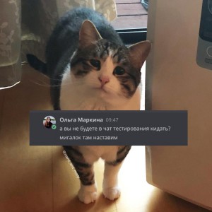 Create meme: the cat is sad, cat, cat meme
