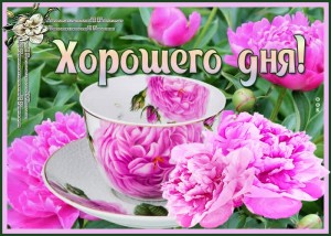 Create meme: good morning, postcard peonies, flowers