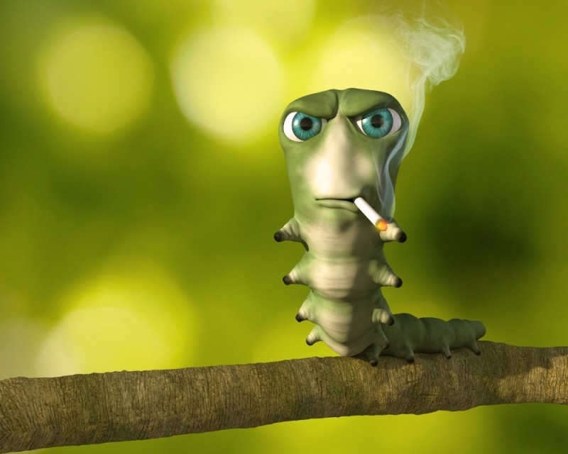 Создать мем: гусеница курит, курящая гусеница, смешная гусеница с сигаретой