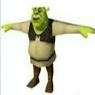 Create meme: Shrek face, Shrek