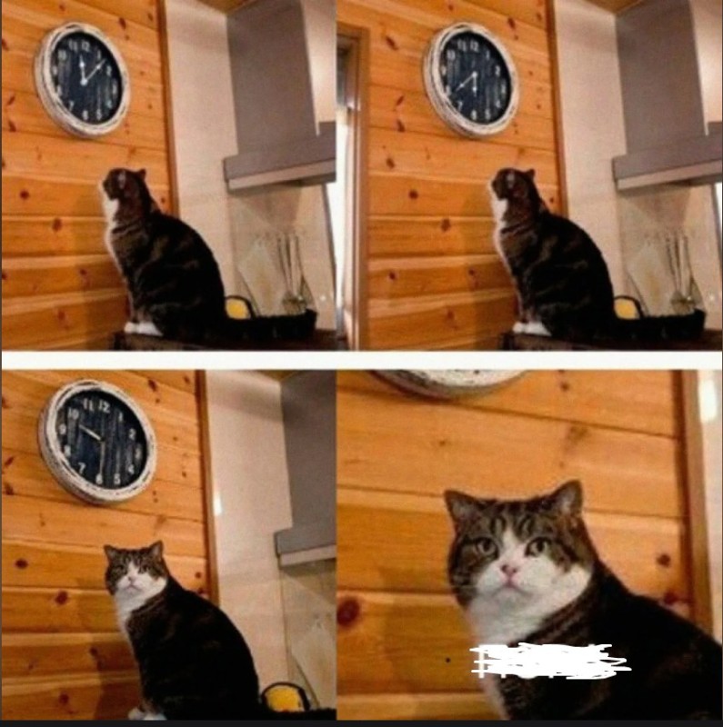Create meme: meme the cat and the clock time, meme with a cat and a clock, It's time for the cat meme