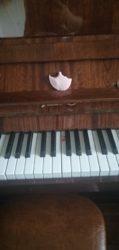 Создать мем: пианино отрада, пианино ласточка, фортепиано