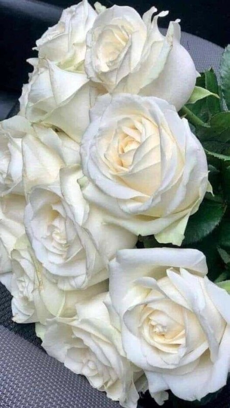 Создать мем: букет белых роз, красивые розы белые, бледно белые розы