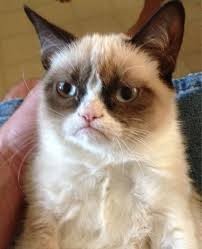 Create meme: sad cat grumpy cat, smile grumpy cat, grumpy cat meme