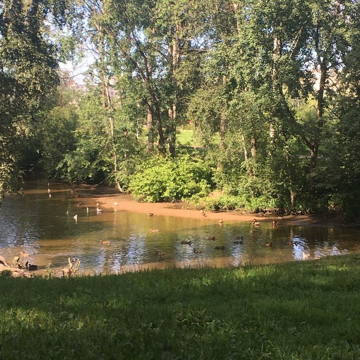 Создать мем: мебель, водоем, в парк