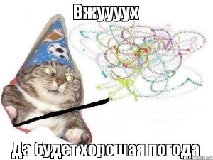 Create meme: generator memes, cat wizard