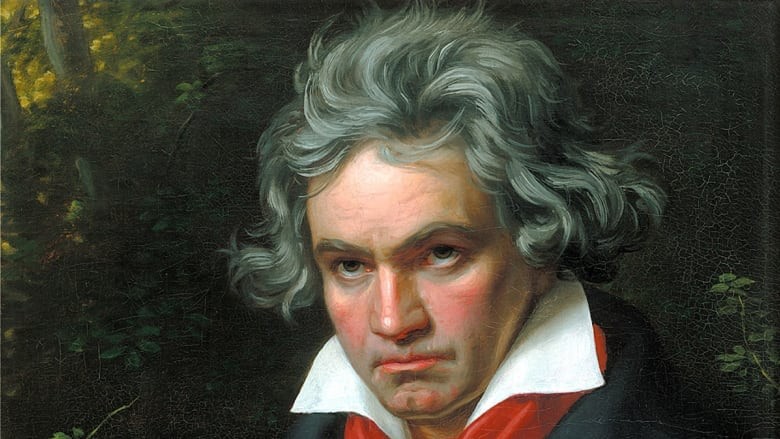 Create meme: beethoven the composer, beethoven portrait of the composer, portrait of Beethoven