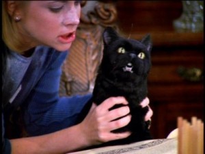 Create meme: Salem the cat Sabrina EP, Cat, Salem Salem