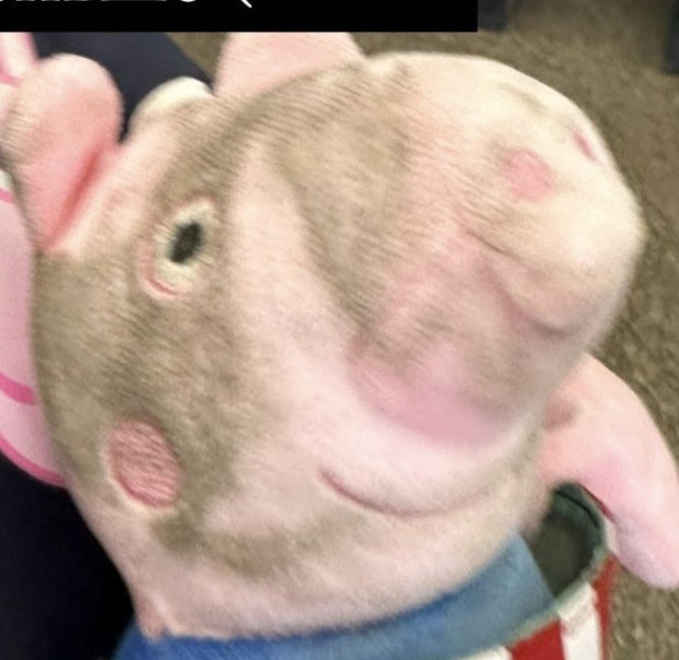 Create meme: a stuffed pig toy, peppa pig is a soft toy, pig 