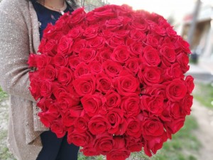 Создать мем: эксплорер розы 51 роза, букет роз 101 красно белых роз фото, 101 роза