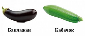 Create meme: photo of zucchini and eggplant, eggplant and zucchini, eggplant zucchini pictures