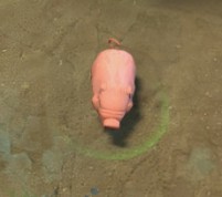 Create meme: pig , pink piggy toy, pig 