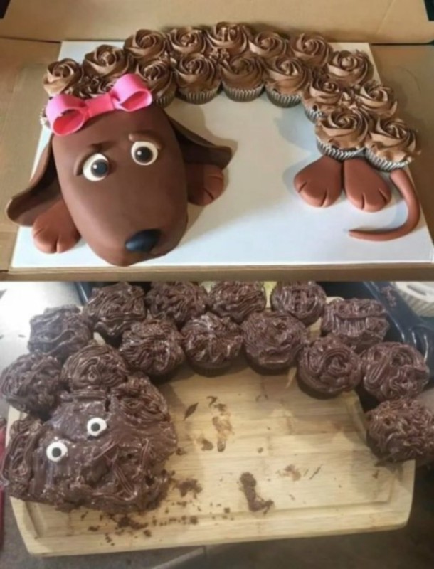 Create meme: a cake in the form of a dachshund, cake for a dog, a cake in the form of a dog