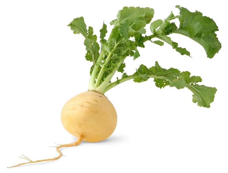 Create meme: turnips , radish, turnip (brassica rapa)
