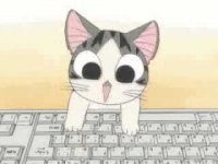 Create meme: sitting at the computer, kitten sitting, so