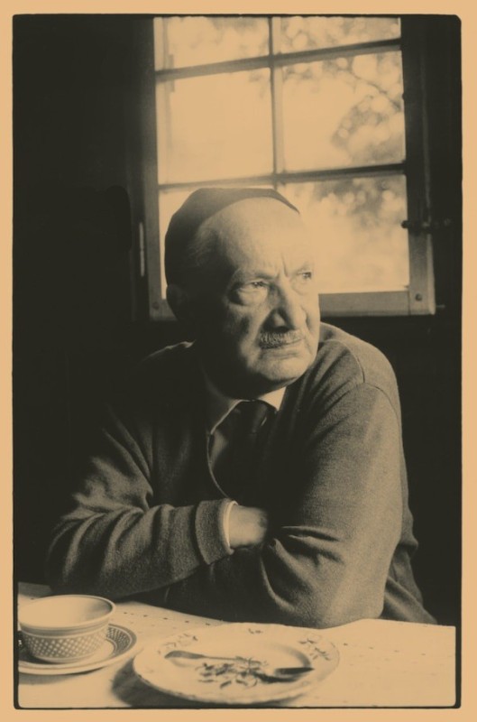 Создать мем: heidegger, das man хайдеггер, хайдеггер философ