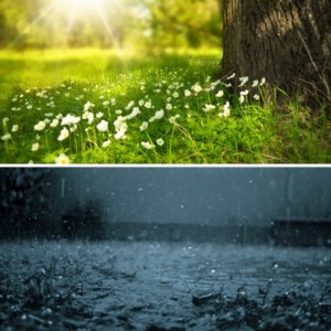 Create meme: good weather, spring, the nature of solar