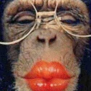 Создать мем: губы обезьяны, обезьяна с губами мем, смешная обезьяна с накрашенными губами