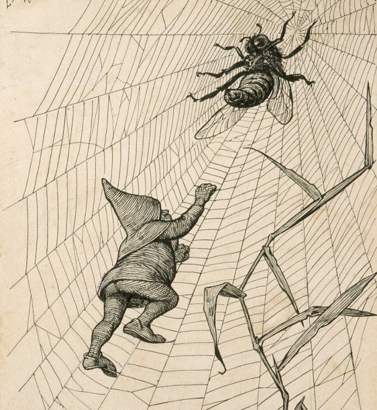 Создать мем: паук и муха, паук рисунок, паук и муха картина