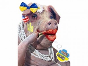 Create meme: female pig, boar, a pig