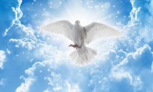 Создать мем: иисус на небе, белый голубь, боженька на небе фото