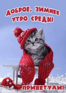 Создать мем: доброе утро с наступающим, добрый зимний день хорошего настроения, котик в зимней шапке
