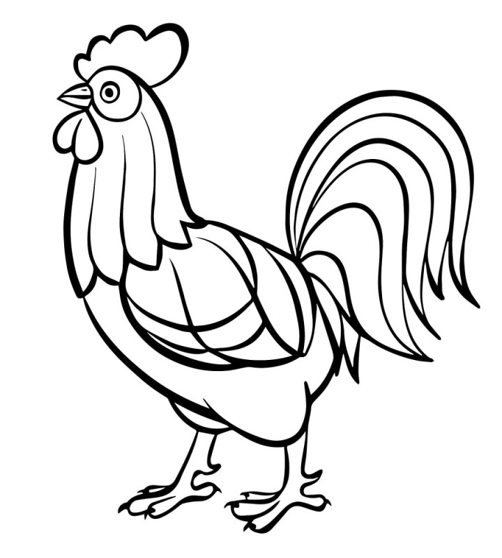 Create meme: rooster coloring book for children 3 4 years old, rooster coloring book for kids, rooster coloring book for kids