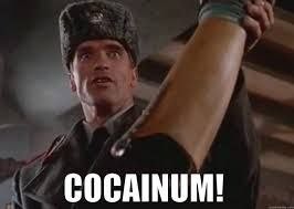 Create meme: Schwartz cocainum, Arnold cocainum, red heat cocainum