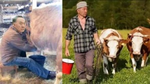 Create meme: farmer, agriculture, the farmer and the cow pictures