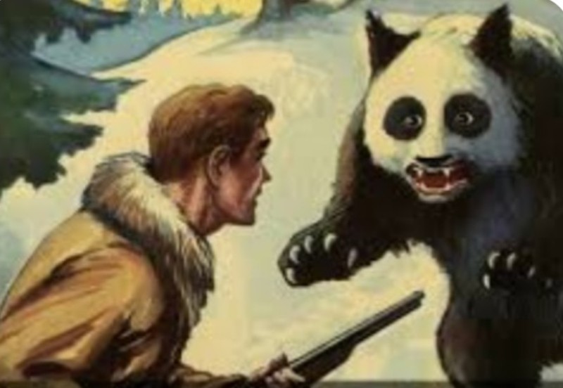 Create meme: Panda , Panda bear, Hey panda