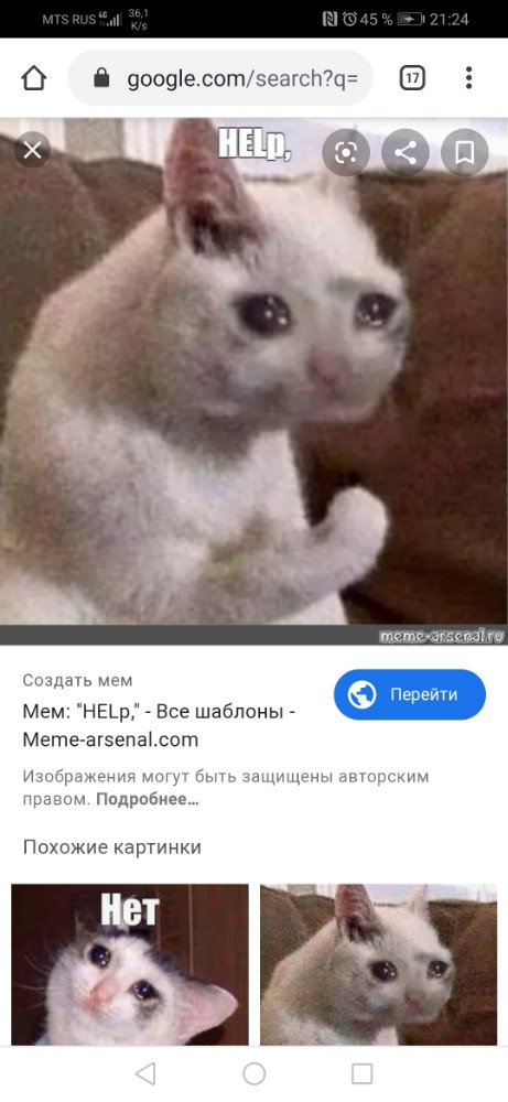 Фото Плачущего Кота Мем