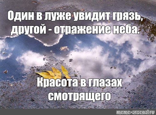 Один видел грязь другой. Один видит в луже грязь а другой отражение. Один в луже видит грязь другой отражение неба. Один увидит в луже грязь. Один видит в луже грязь а другой звёзды.