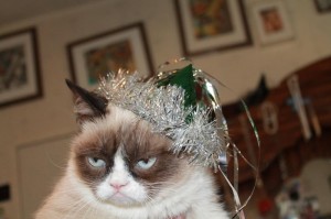 Создать мем: угрюмый кот новый год, злой новогодний кот, сердитый кот новый год