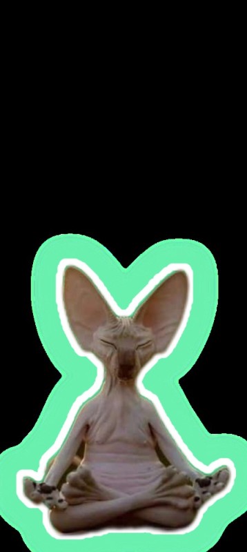 Create meme: bald cat sphinx, The Canadian Sphinx elf, Sphinx 