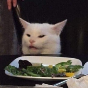 Create meme: meme cat, cat meme, the meme with the cat at the table
