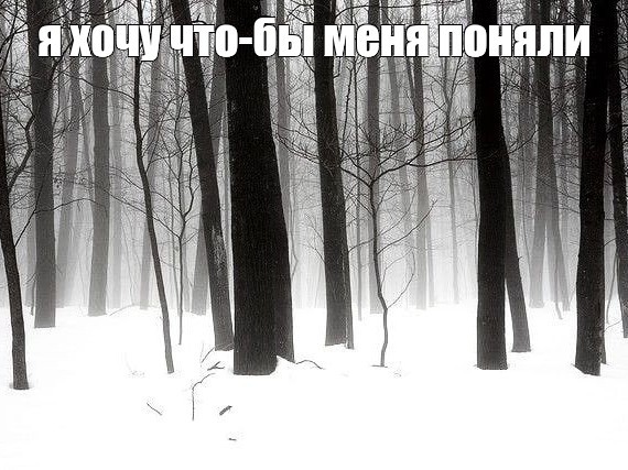 Создать мем: прикол, пейзаж, мрачный зимний лес