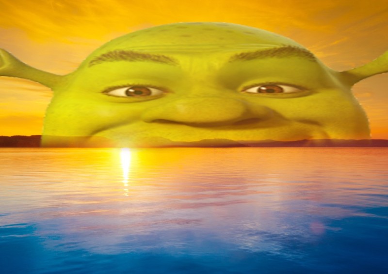 Create meme: shrek fiona , meme backgrounds for zoom, the face of Shrek