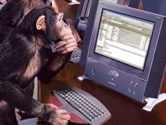 Create meme: monkey in front of the computer, a monkey with a computer, the monkey behind the computer